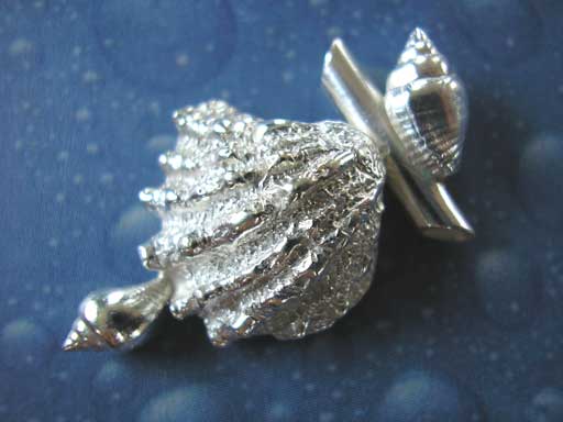 Schuppige Fächer Muschel Strombustäubchen Anhänger