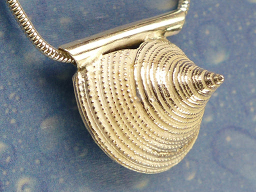 Schmuck Kreiselschnecke Anhänger