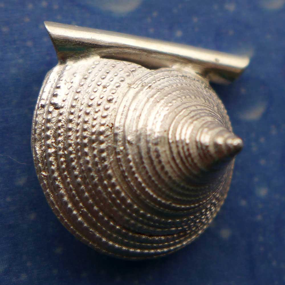 Schmuck Kreiselschnecke Anhänger