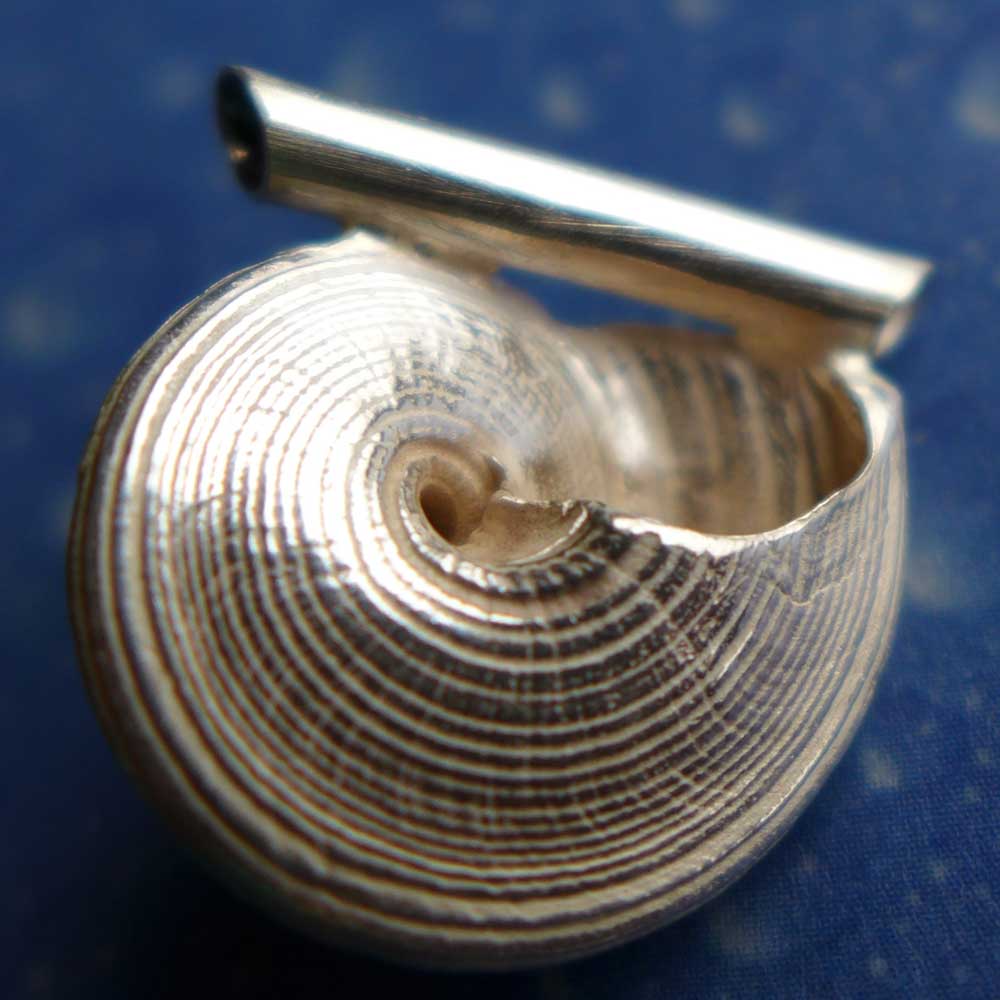Schmuck Kreiselschnecke Anhänger Rückseite