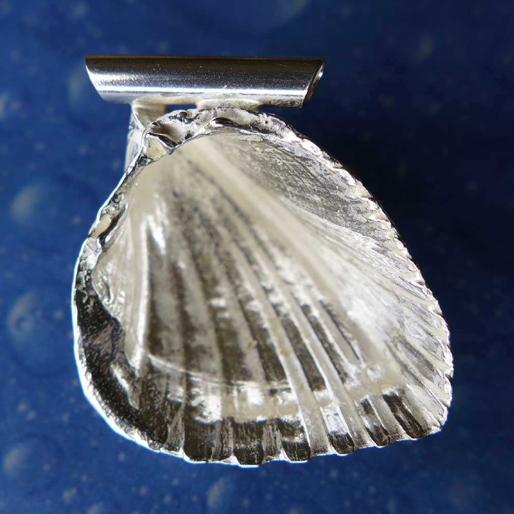 Flache Herz Muschel Anhänger