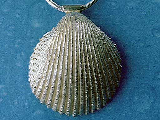Herzmuschel Silber Schmuck Anhänger