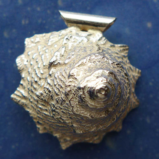 Kette Silber Schmuck Meer Strand Küste