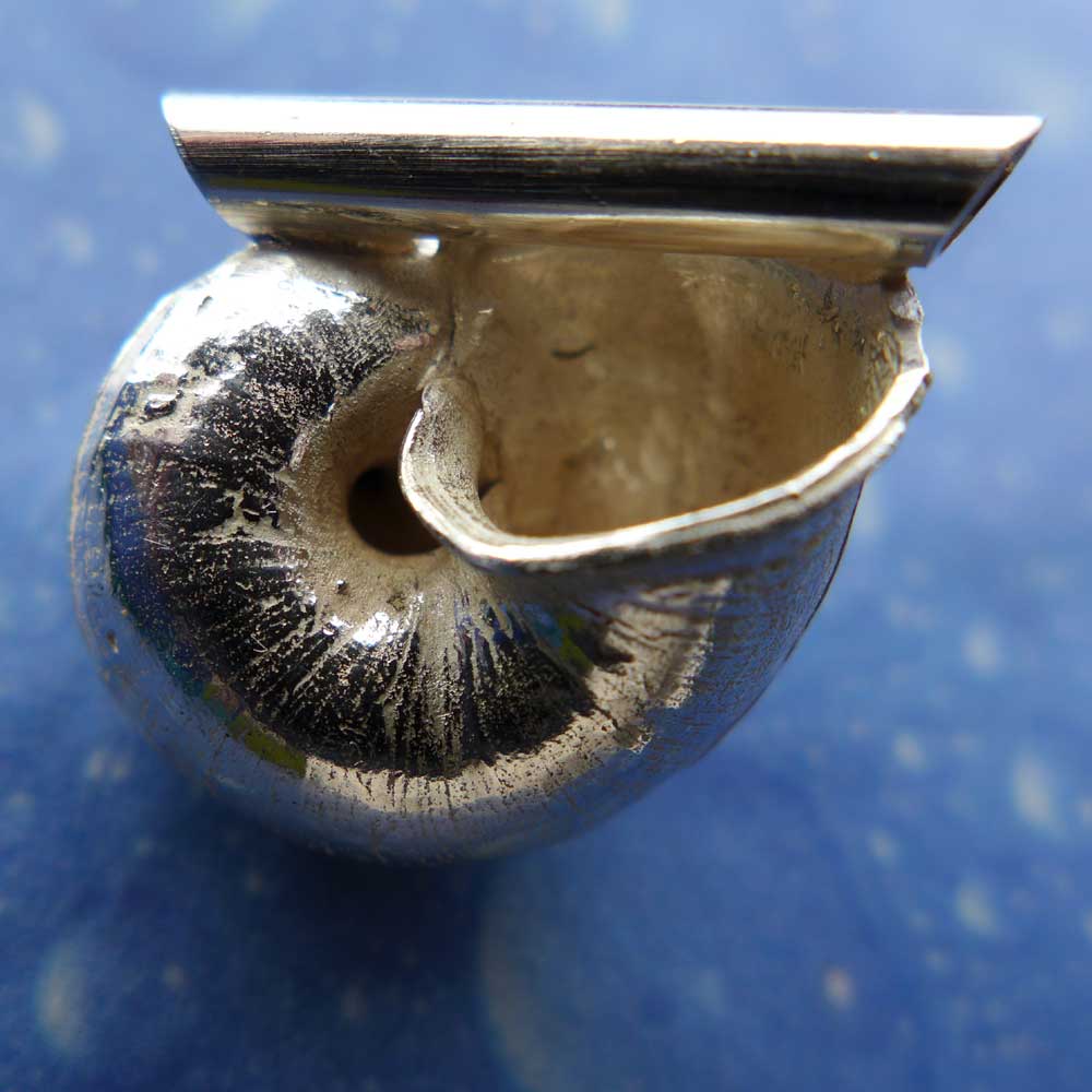 Schneckenschmuck Anhänger Landschnecke Rückseite