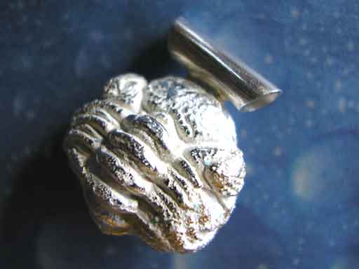 Versteinerung Schmuck Trilobit Anhänger