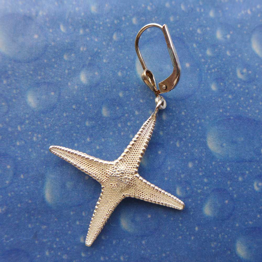 Besonderer Seestern Ohrhänger von der Küste Silber