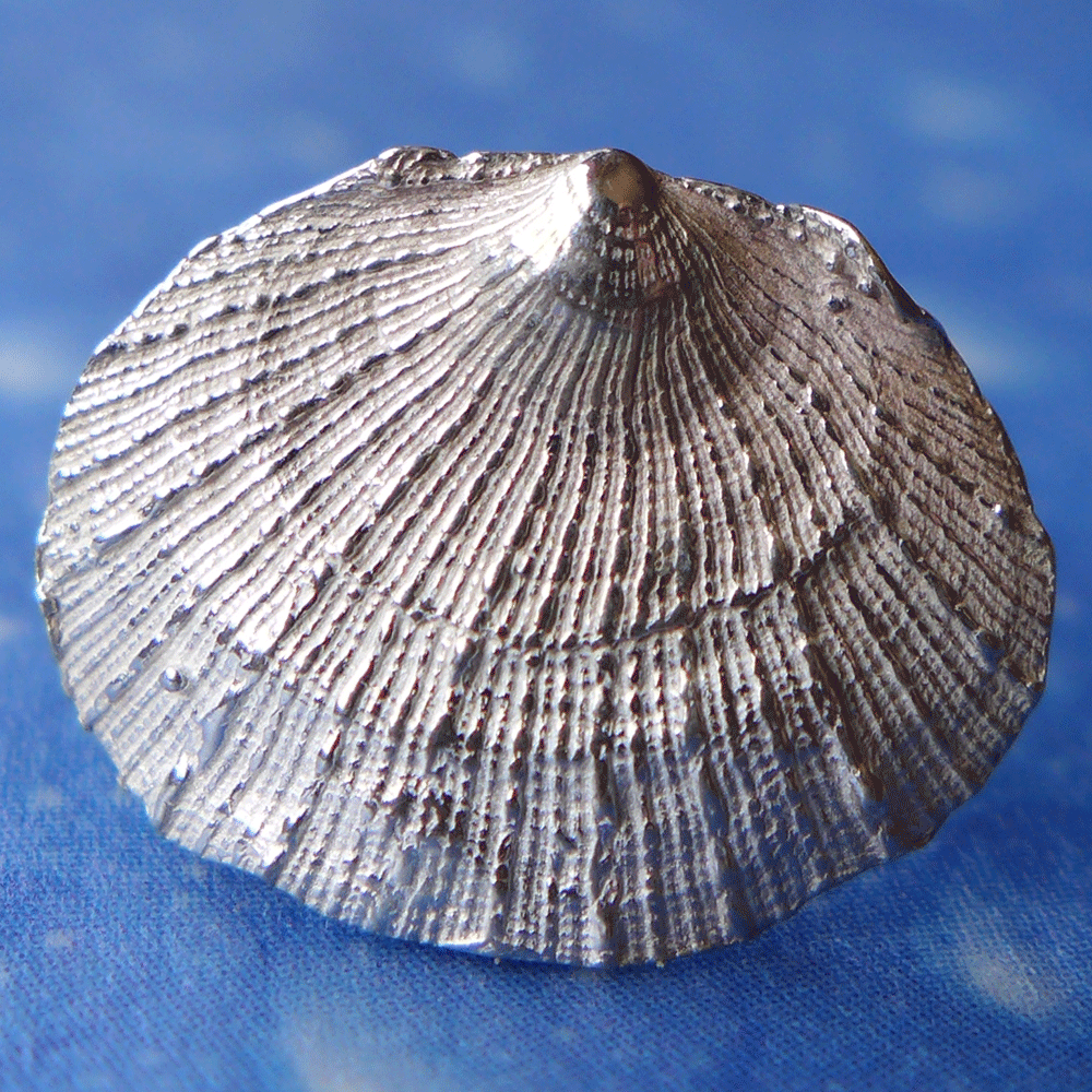 Ohrstecker Blatt Muschel Silber Schmuck