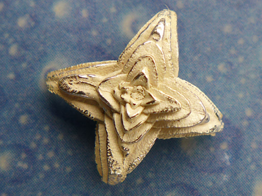 Blüte Ohrstecker Flora Sukkulente Schmuck