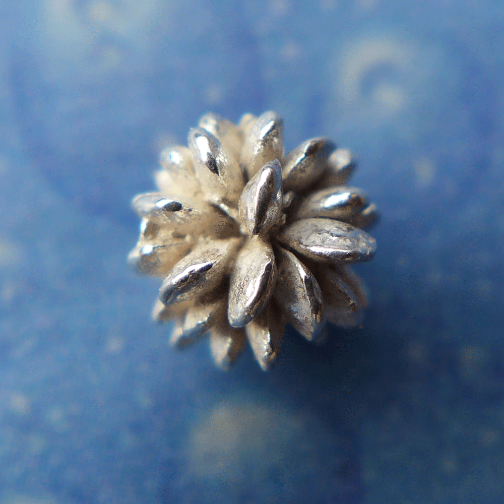 Blüte Butter Blume Same Ohrstecker Schmuck