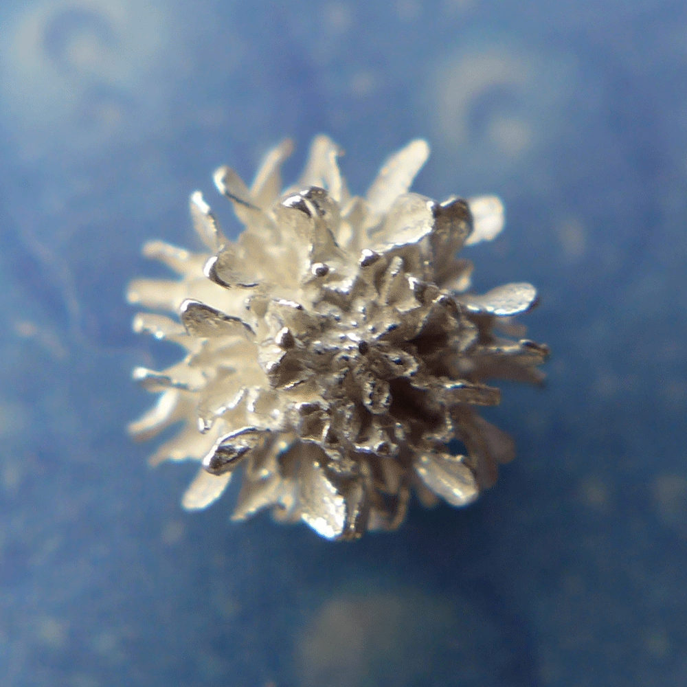 Blüten Schmuck Silber Kassuarine Ohrstecker xs