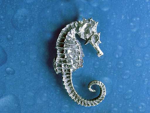 Seepferdchen Brosche Silber Schmuck