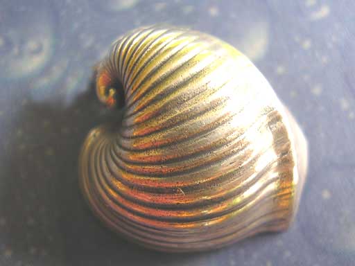 Ochsenherz eine Seite Brosche