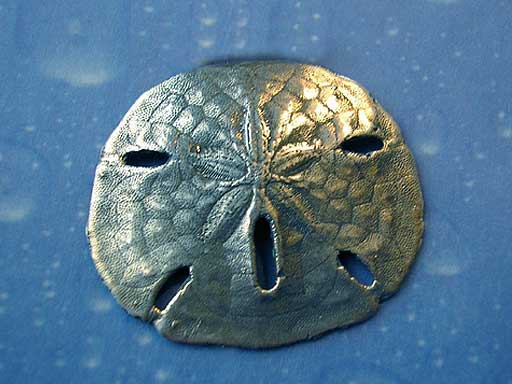 Maritime Brosche Seeigel Sanddollar Silber