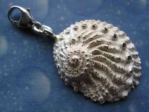 Charms Anhänger Hübsche Abalone
