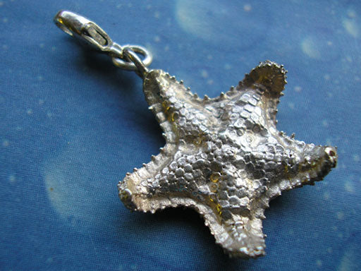 Charms Anhänger Seestern Kissenstern