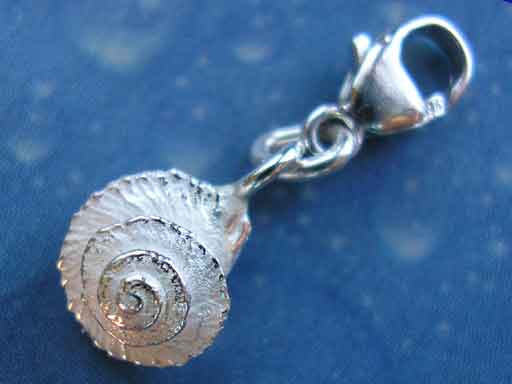 Charms Schneckenschmuck Kreiselschnecke individuell