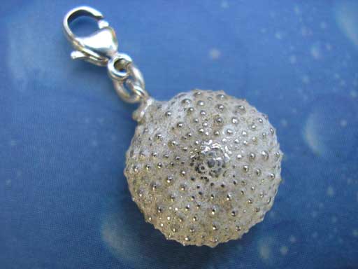 Charms Seeigel Schmuck Online