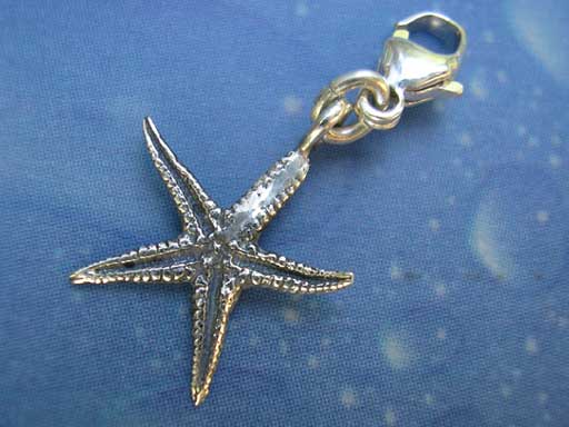 Seestern Anhänger Charms Kette Silber