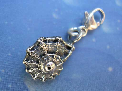 Kronenturbanschnecke medium Charms mit Karabiner