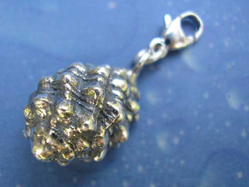 Purpurschnecke Charms mit Karabiner