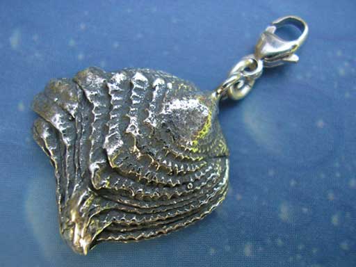 Geschuppte Muschel Charms mit Karabiner
