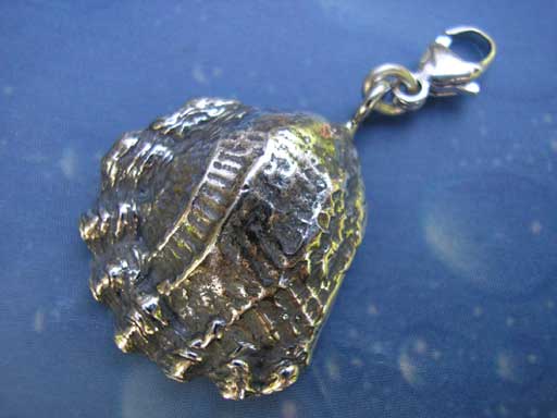 Gewellte Muschel Charms mit Karabiner