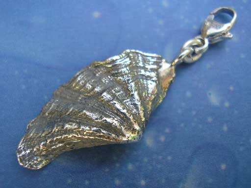 Charms Mördermuschel Taucherschmuck Silber
