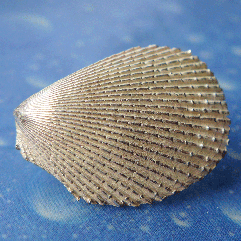 Clam Shell Muschel Ohrstecker Feile