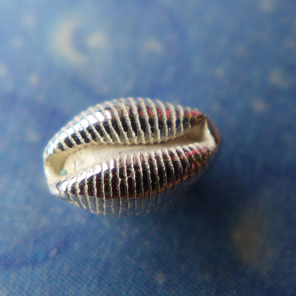 Taucherschmuck Damenschmuck Silber Kauri