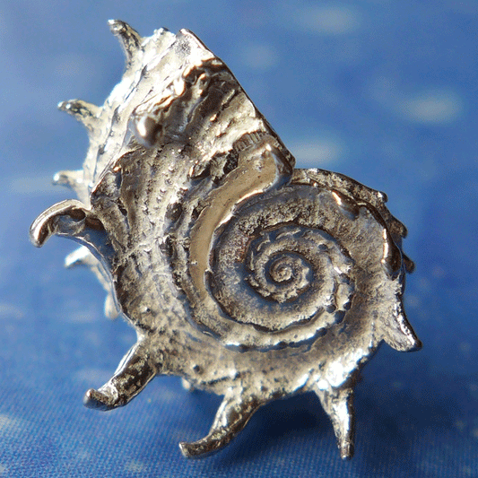 Schnecke Delfin Ohrstecker Silber