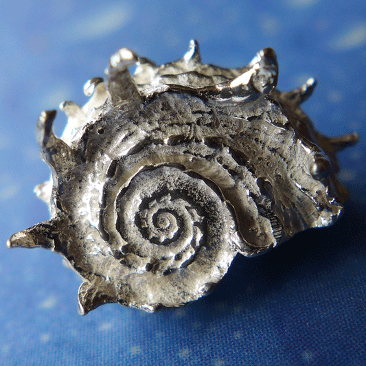 Delfin Schnecke Ohrstecker Silber