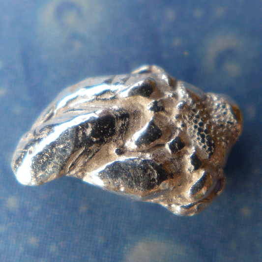 Entenmuschel Silberschmuck Ohrstecker