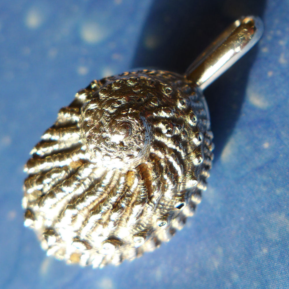 Maritimer Anhänger Feueropal Meerohr