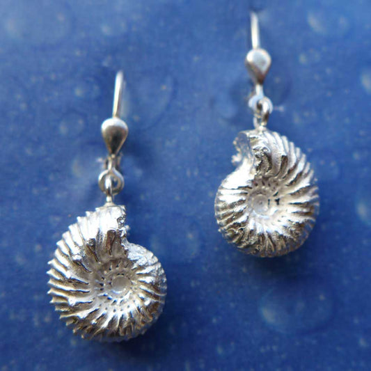 Fossiler Schmuck Ohrhänger Ammonit