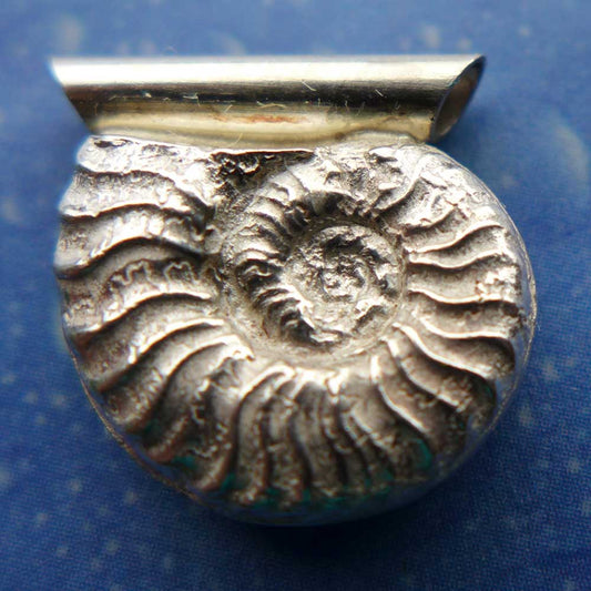 Fossiler Schmuck Silber Ammonit