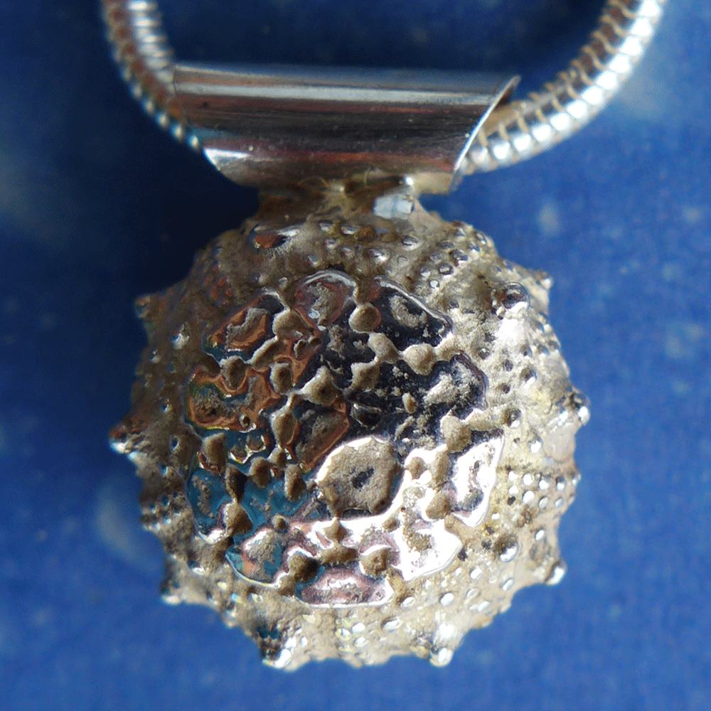 Fossiler Seeigel Anhänger Silber