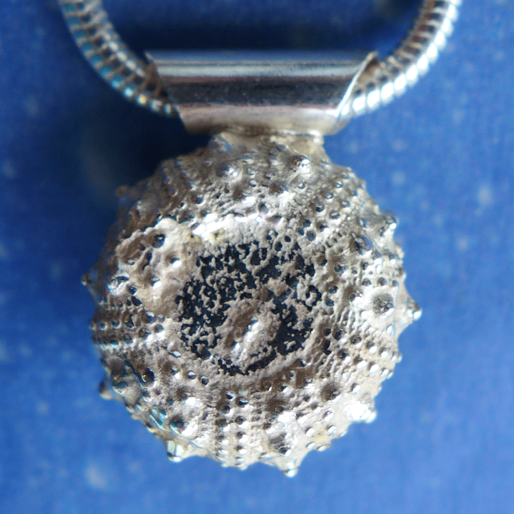 Fossiler Seeigel Anhänger Schmuck Rückseite