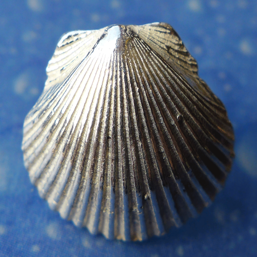 Pilgerweg Muschel Ohrstecker Geschenk