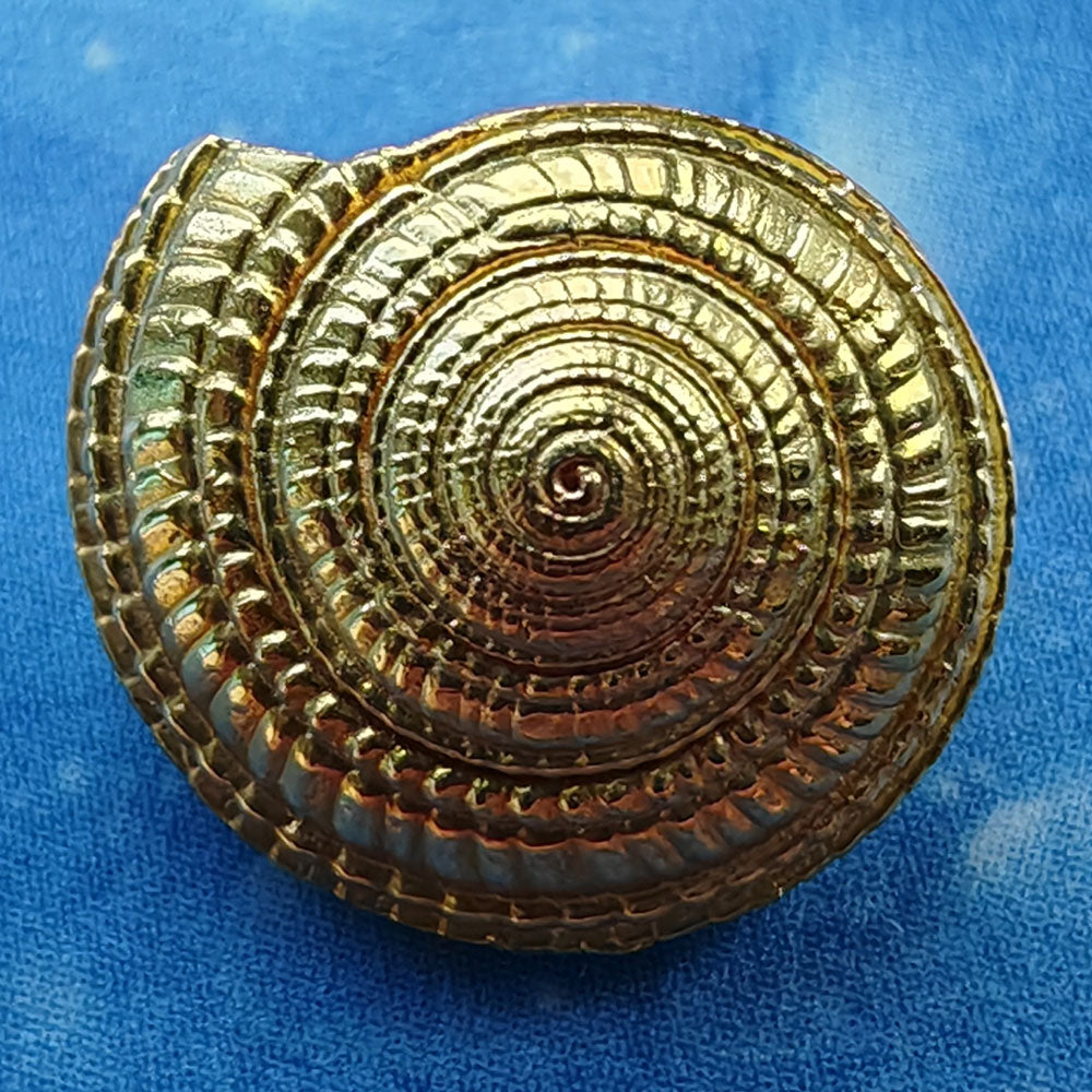 Maritimer Schmuck Gold Kettenanhänger