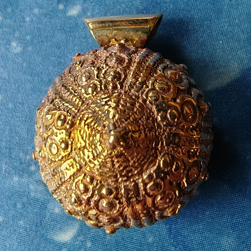 Massiv Gold Seeigel Kettenanhänger