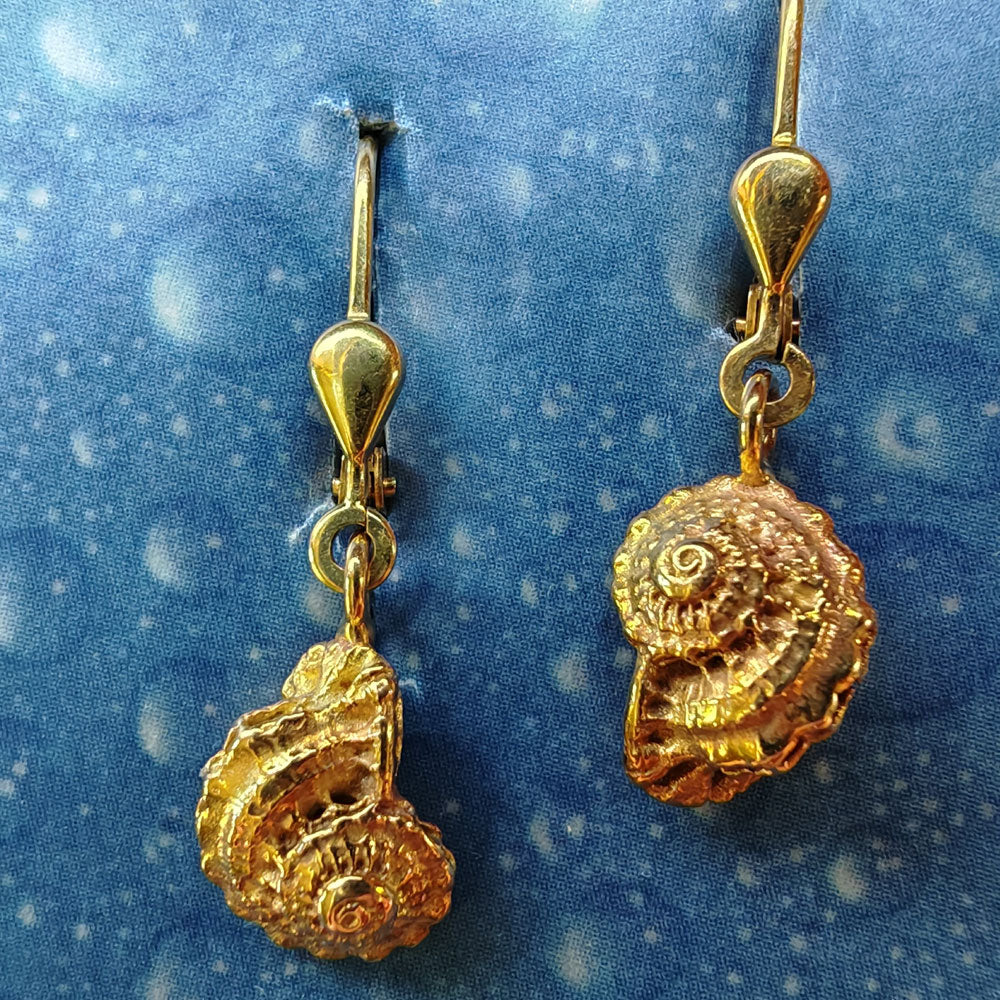 Ohrschmuck Strandgut Gold Onlineshop