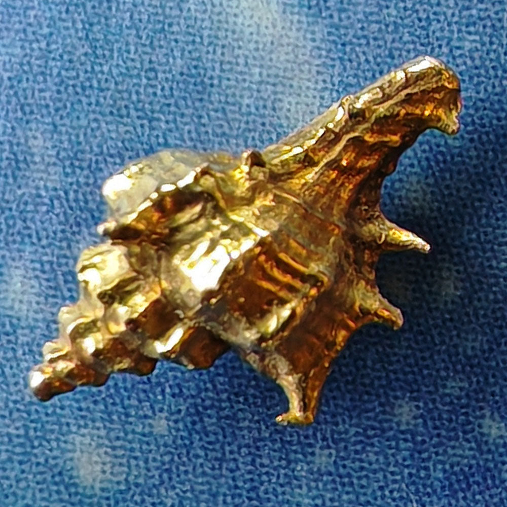 Stecker maritim Schmuck Gold Design