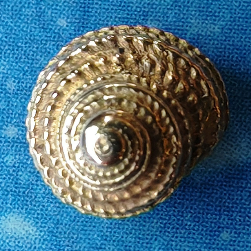 Insel Schmuck maritime Stecker