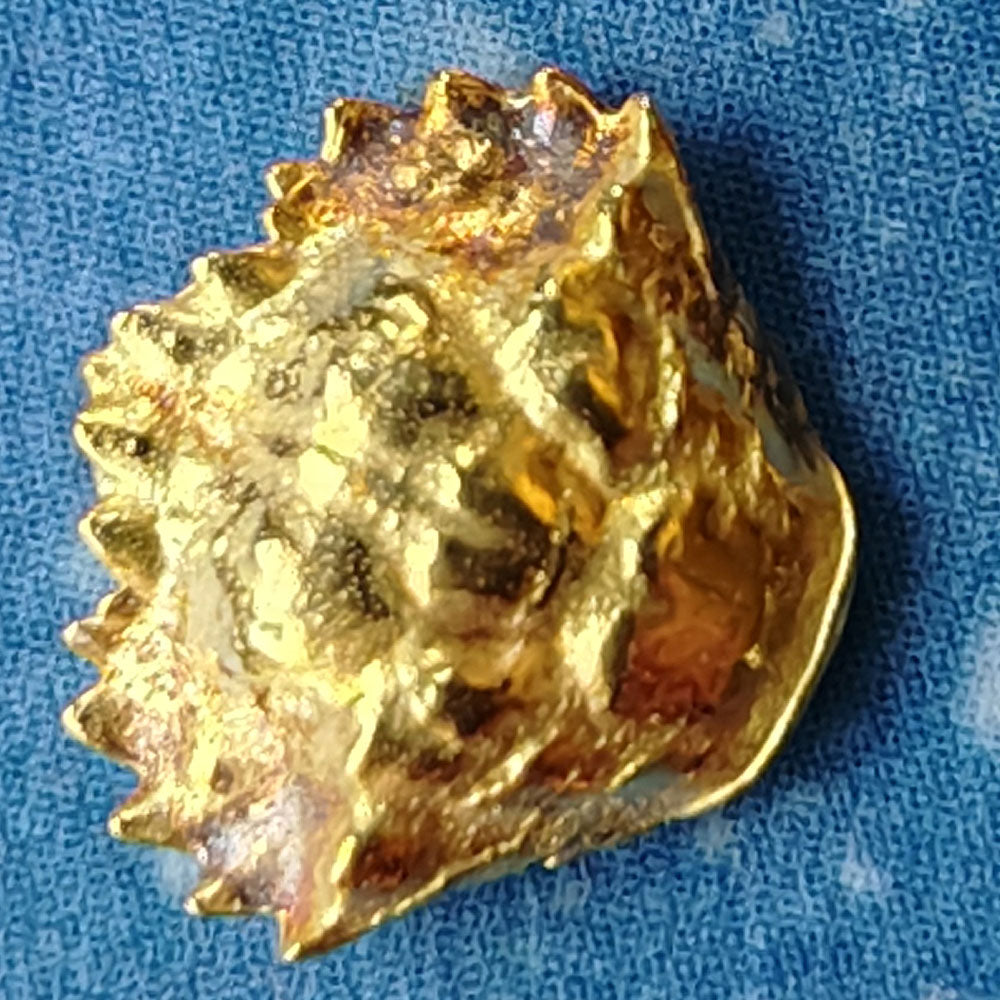 Maritim Design Schmuck Ohrstecker Krebs