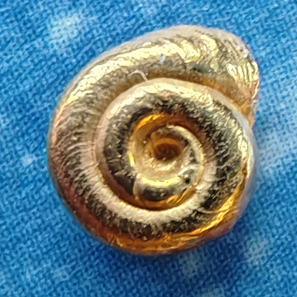 Maritime Goldstecker Schmuckdesign