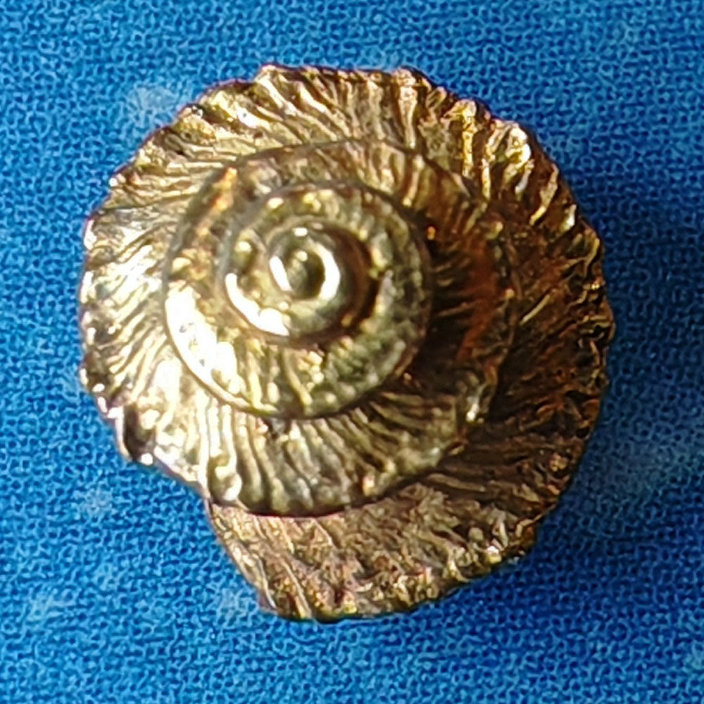 Stecker Gold Stand Schmuck maritim