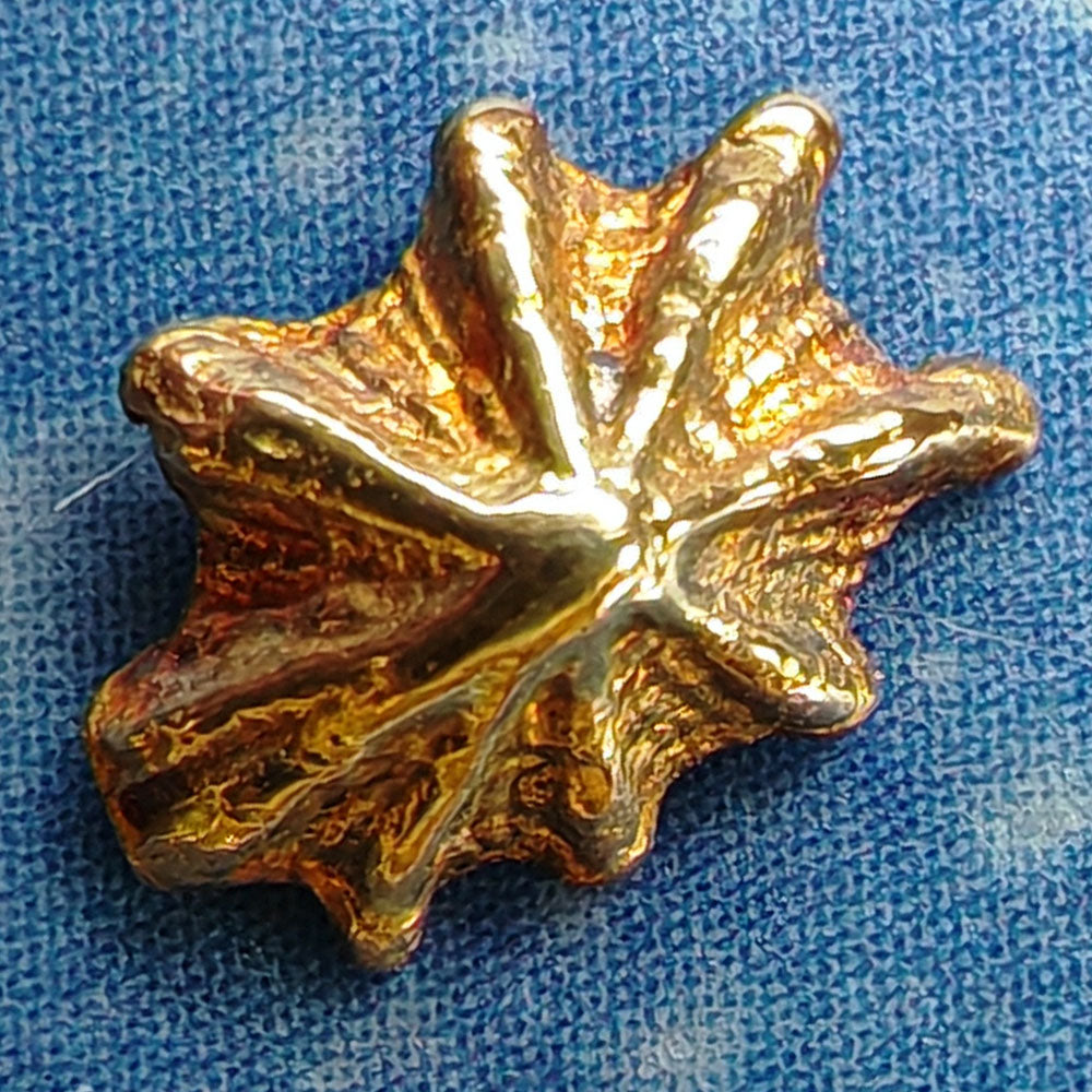 Gold Stecker maritimes Design Schmuck