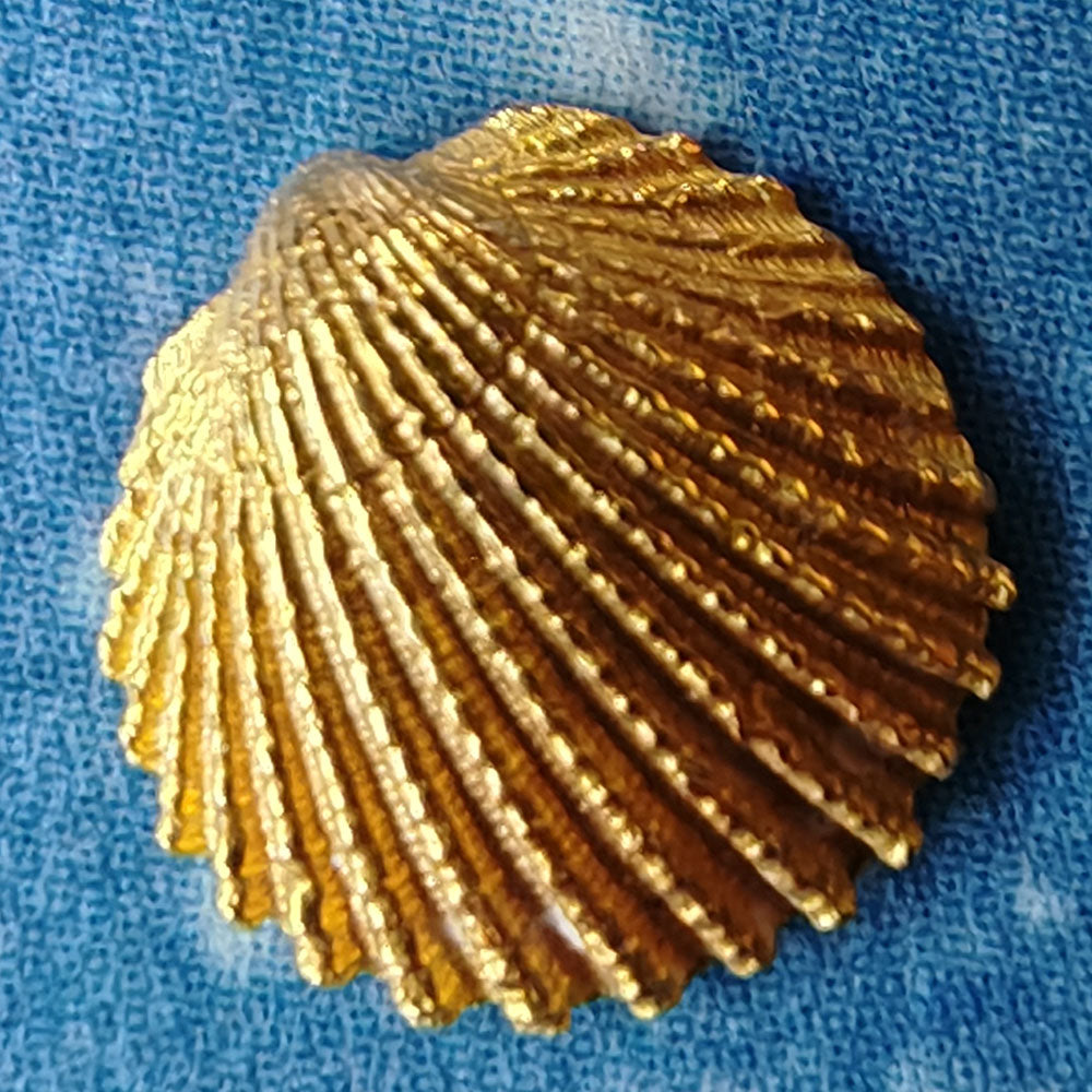 Herzmuschel Gold Maritim Design Schmuck