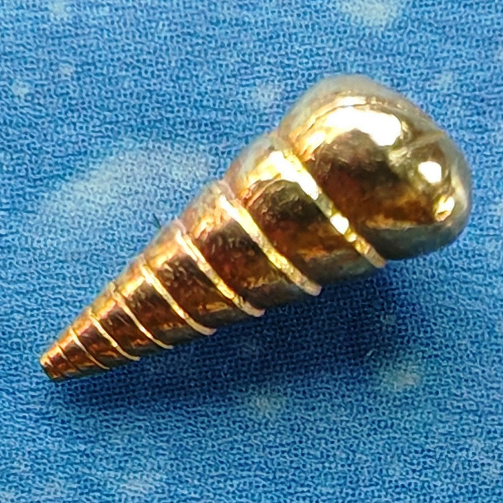 Maritim Design von der See Ohrstecker Gold