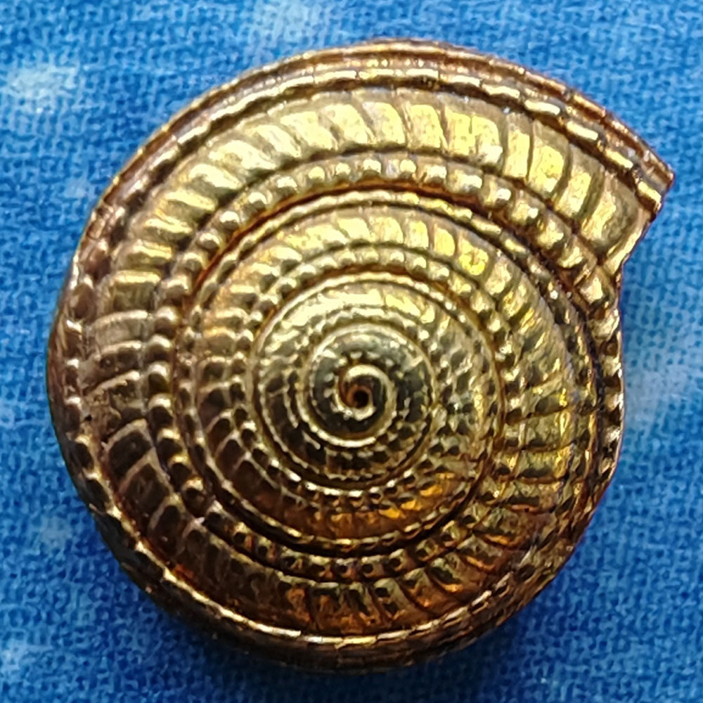 Maritimdesign Schmuck Ohrstecker Gold